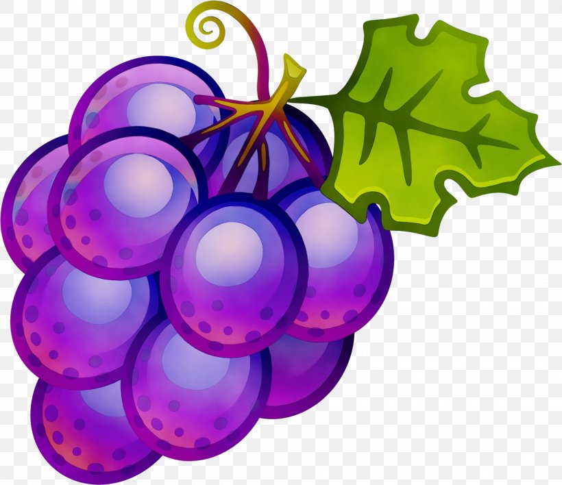 Christmas Decoration Cartoon, PNG, 1919x1658px, Common Grape Vine, Christmas Decoration, Christmas Ornament, Fruit, Grape Download Free