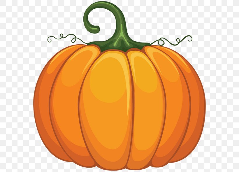 Pumpkin Clip Art, PNG, 600x590px, Pumpkin, Calabaza, Commodity, Cucumber Gourd And Melon Family, Cucurbita Download Free