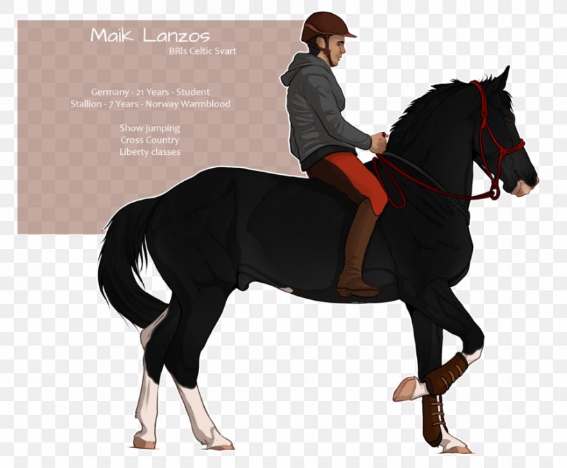 Stallion Hunt Seat Mustang Bridle Mare, PNG, 900x744px, Stallion, Bridle, English Riding, Equestrian, Equestrian Sport Download Free