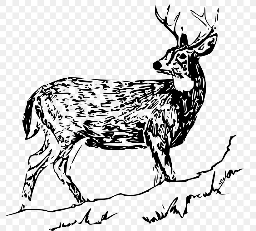 White-tailed Deer Drawing Clip Art, PNG, 800x740px, Deer, Animal Figure, Antler, Black And White, Drawing Download Free
