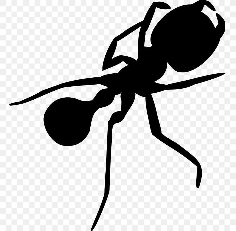 Ant Silhouette Clip Art, PNG, 755x800px, Ant, Arthropod, Artwork, Black, Black And White Download Free