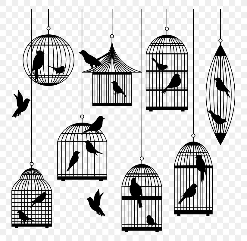 Birdcage Clip Art, PNG, 800x800px, Bird, Birdcage, Black And White, Cage, Domestic Canary Download Free