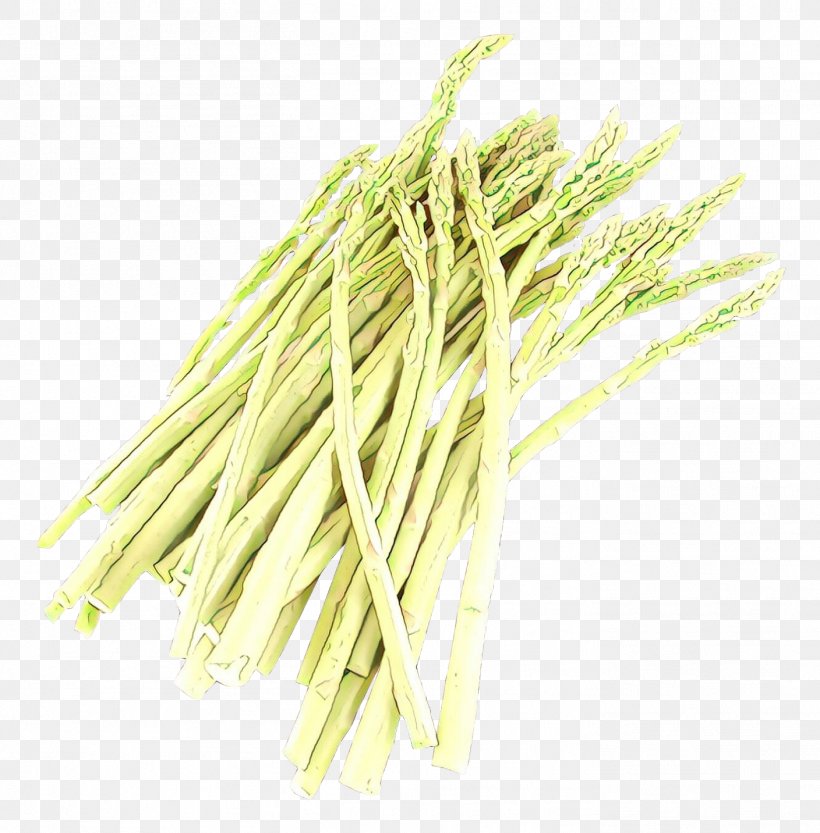 Onion Cartoon, PNG, 1408x1432px, Celtuce, Asparagus, Chinese Yam, Chives, Food Download Free