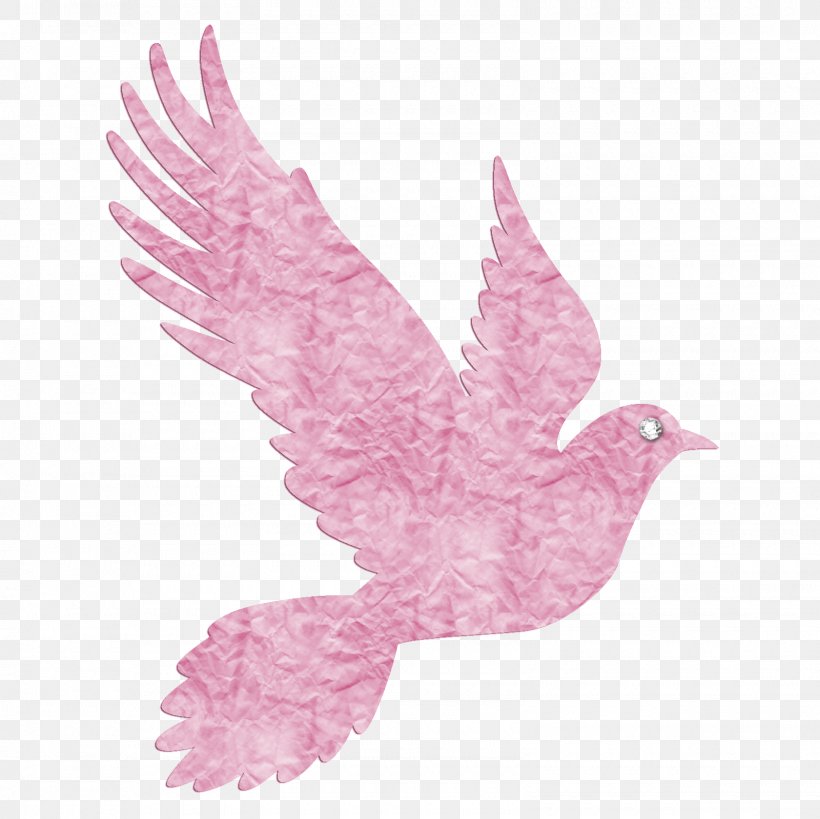Pigeons And Doves Vector Graphics Clip Art Illustration, PNG, 1600x1600px, Pigeons And Doves, Beak, Bird, Doves As Symbols, Drawing Download Free