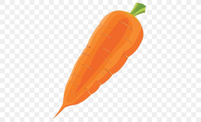 Carrot Vegetable Radish, PNG, 500x500px, Carrot, Cartoon, Drink, Food, Fruit Download Free