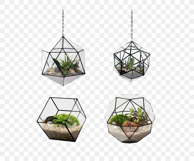Flowerpot Terrarium Glass Android, PNG, 564x680px, Flowerpot, Bonsai, Garden, Glass, Houseplant Download Free