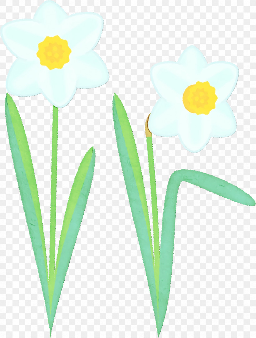 Plant Stem Cut Flowers Narcissus Yellow Petal, PNG, 1212x1598px, Watercolor, Biology, Cut Flowers, Flower, Narcissus Download Free