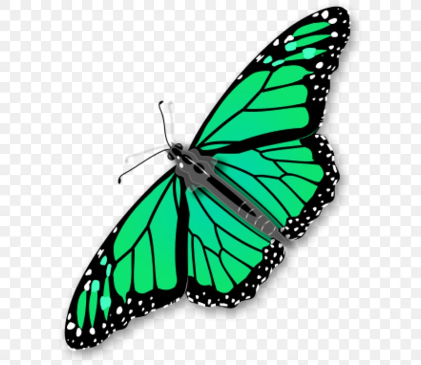 Monarch Butterfly Clip Art, PNG, 600x710px, Butterfly, Arthropod, Brush Footed Butterfly, Color, Copyright Download Free