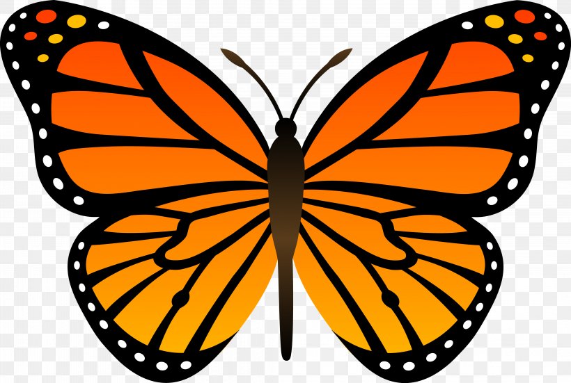 Monarch Butterfly Insect Clip Art, PNG, 4246x2856px, Butterfly, Artwork, Brush Footed Butterfly, Caterpillar, Clip Art Download Free