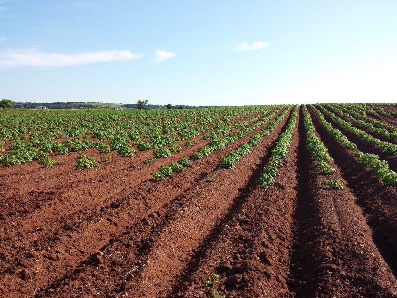 Agricultural Soil Science Agriculture Farmer, PNG, 2048x1536px, Soil, Agricultural Land, Agricultural Soil Science, Agriculture, Agronomist Download Free