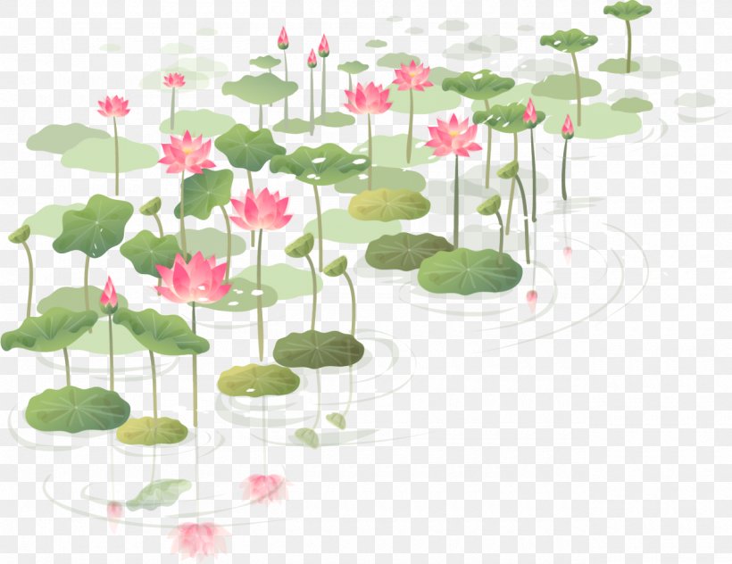 Flower Nelumbo Nucifera Wall Decal Sticker, PNG, 1280x988px, Flower, Art, Drawing, Drop, Flora Download Free
