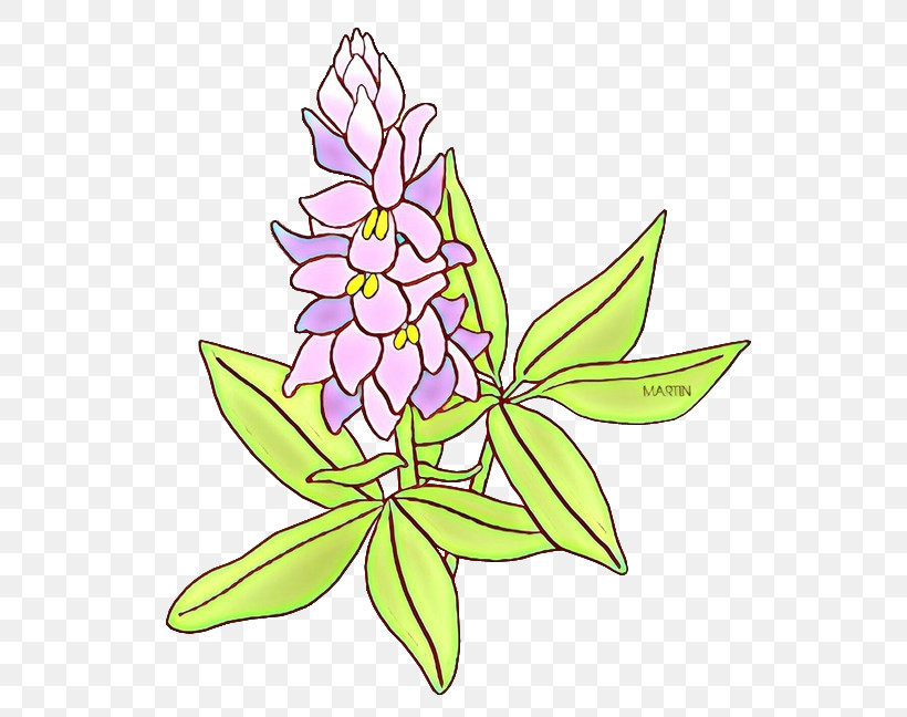 Flower Plant Leaf Herbaceous Plant Wildflower, PNG, 579x648px, Flower, Herbaceous Plant, Leaf, Plant, Wildflower Download Free
