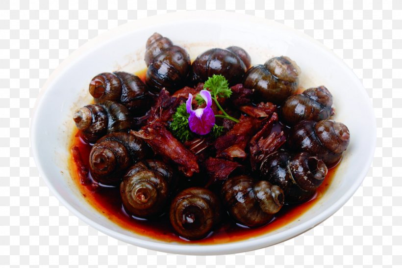 Mesogastropoda Escargot Mooncake Viviparidae Stuffing, PNG, 1024x683px, Escargot, Bolinus Brandaris, Clam, Cuisine, Dish Download Free