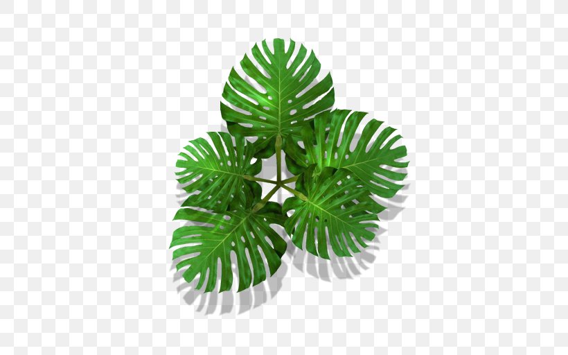 Plant Tree, PNG, 512x512px, Plant, Tree Download Free