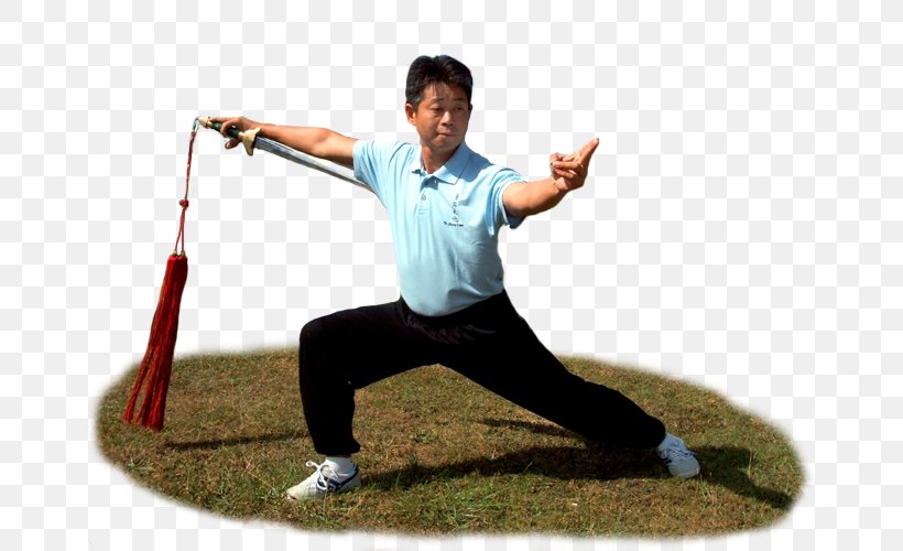 Shaolin Monastery Tai Chi Qigong Dr. Xujun J. Wu, MD Northern Shaolin, PNG, 667x500px, Shaolin Monastery, Arm, Balance, Chinese Martial Arts, Henan Download Free