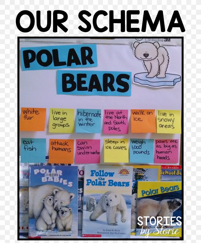 How Do Polar Bears Stay Warm? Homework Classroom, PNG, 1320x1600px, Polar Bear, Advertising, Bear, Book, Class Download Free