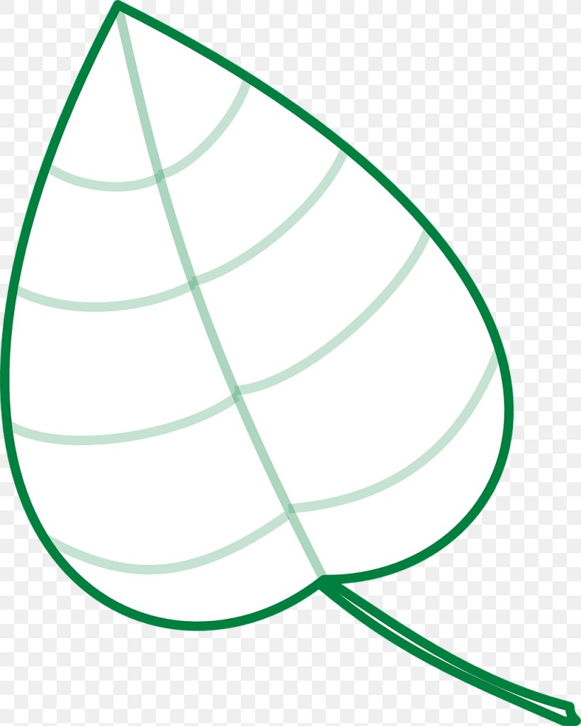 Leaf Vector Graphics Line Drawing, PNG, 1025x1280px, Leaf, Computer, Drawing, Plants Download Free