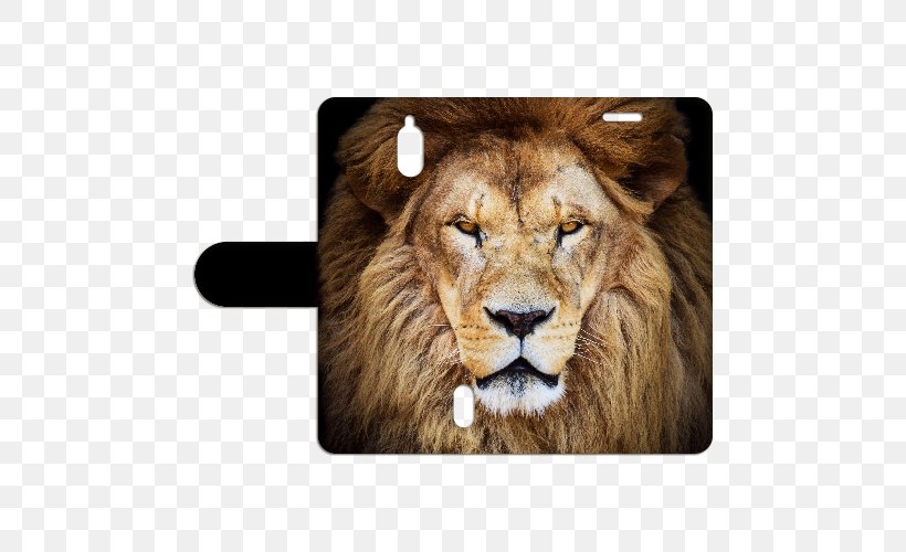 Lion Stock Photography Royalty-free Clip Art, PNG, 500x500px, Lion, Big Cats, Carnivoran, Cat Like Mammal, Drawing Download Free