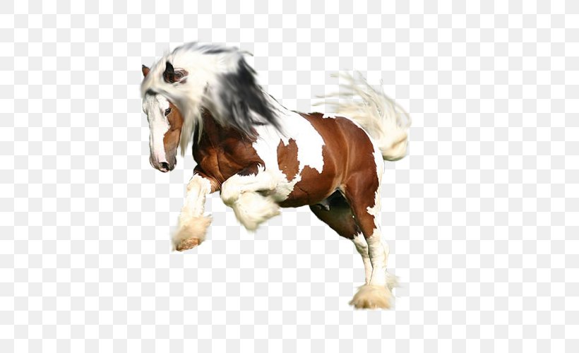 Mustang Stallion Pony Painting, PNG, 500x500px, 2019 Ford Mustang, Mustang, Businessperson, Com, Faq Download Free