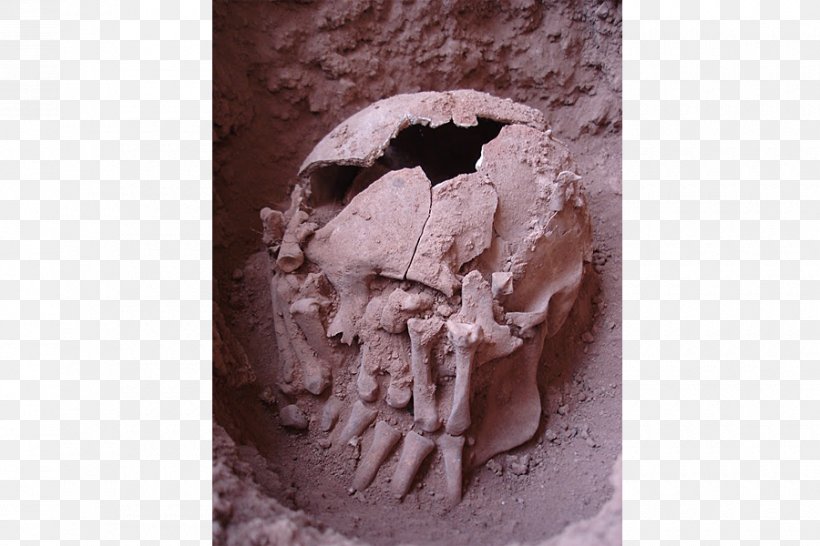 Decapitation Lapa, Rio De Janeiro Rio Do Santo Burial Archaeology, PNG, 900x600px, Decapitation, Americas, Anthropologist, Archaeology, Bone Download Free