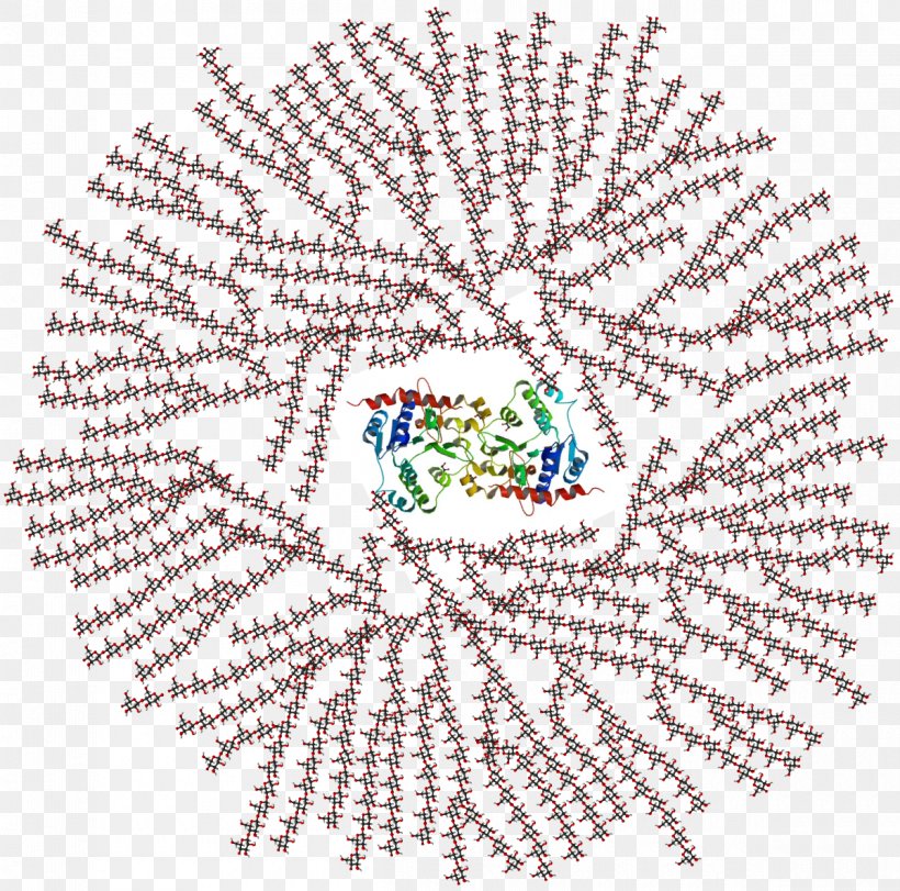 Glycogenolysis Polysaccharide Branching Glycogenin, PNG, 1200x1187px, Glycogen, Amylase, Area, Art, Branching Download Free