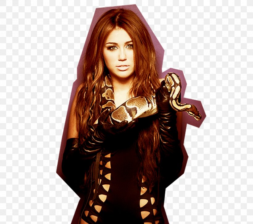 Miley Cyrus Gypsy Heart Tour Miley Stewart Bangerz Tour Can't Be Tamed, PNG, 900x800px, Watercolor, Cartoon, Flower, Frame, Heart Download Free