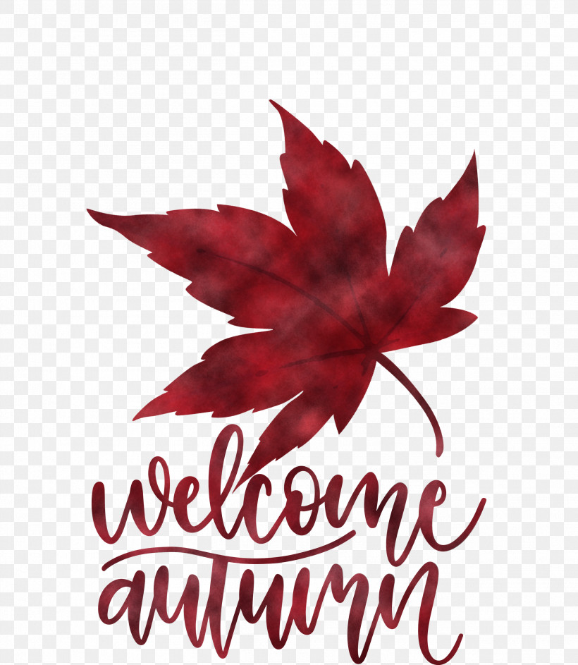 Welcome Autumn Autumn, PNG, 2606x3000px, Welcome Autumn, Autumn, Biology, Flower, Leaf Download Free