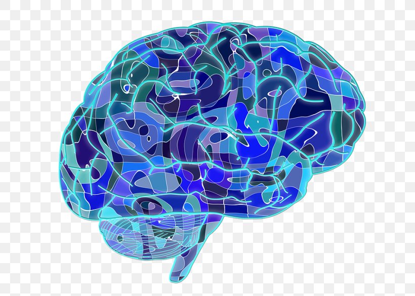 Blue Brain Project Cognitive Training Neuron Neuroscience, PNG, 640x585px, Watercolor, Cartoon, Flower, Frame, Heart Download Free