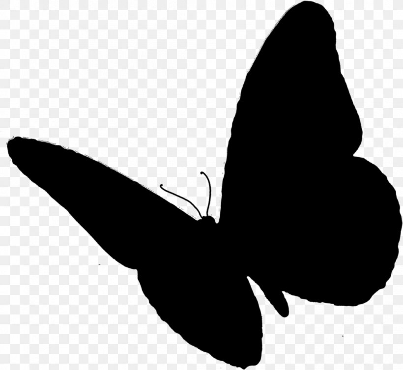 Butterfly Insect, PNG, 1053x967px, Butterfly, Animal, Black, Blackandwhite, Borboleta Download Free