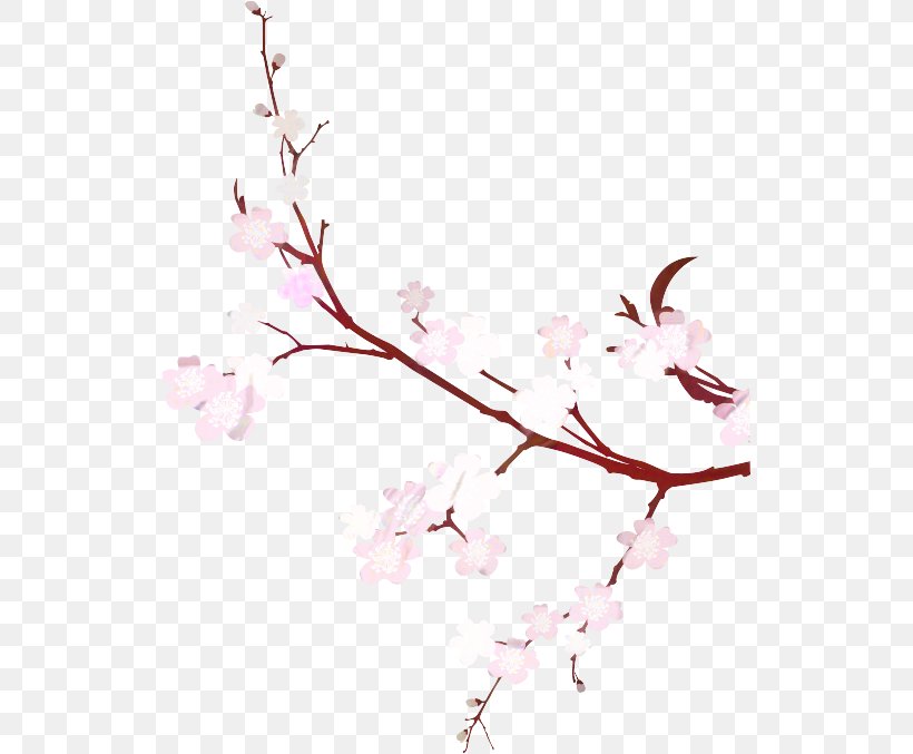 Cherry Blossom Flower Image East Asian Cherry, PNG, 528x677px, Cherry Blossom, Blossom, Botany, Branch, Cherries Download Free