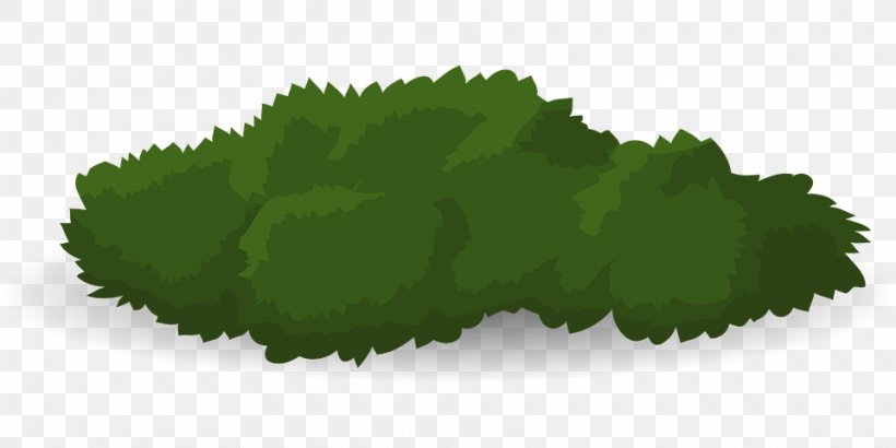 Garden Shrubs Drawing Image Clip Art, PNG, 960x480px, Shrub, Cartoon, Drawing, Garden Shrubs, Grass Download Free