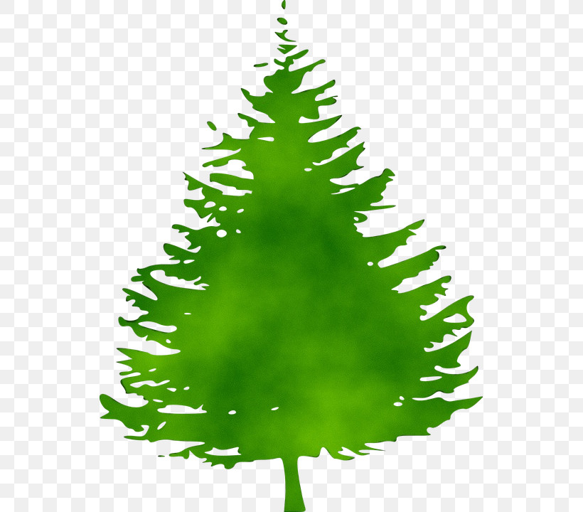 Pine Tree Fir Silhouette Conifers, PNG, 539x720px, Watercolor, American Larch, Balsam Fir, Cedar, Christmas Decoration Download Free