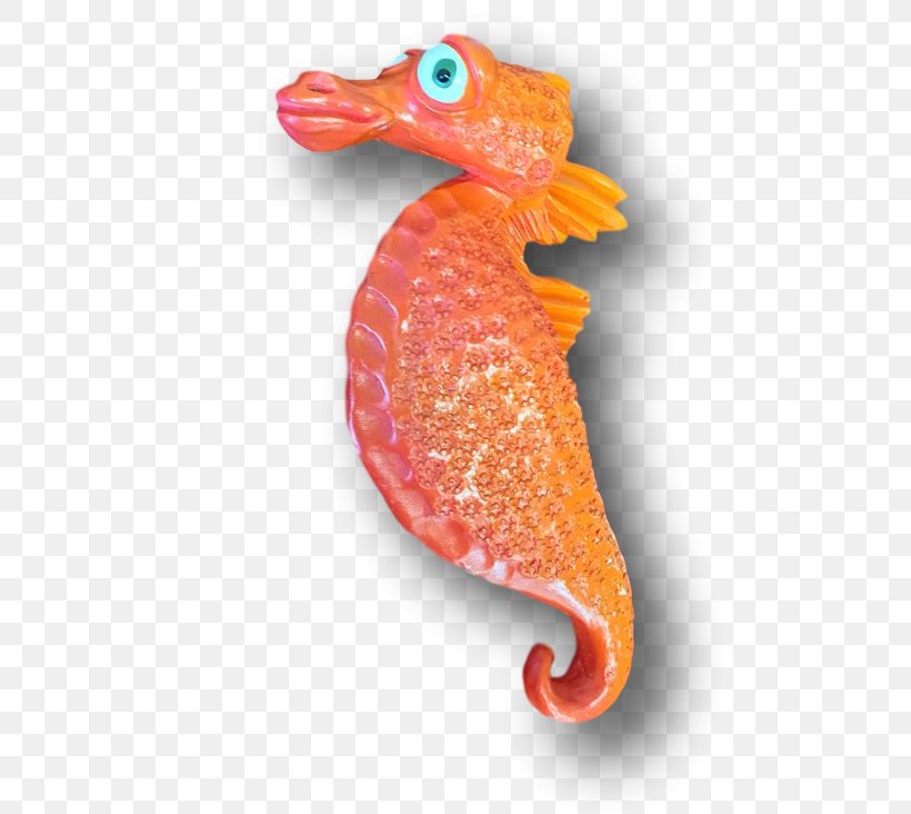 Seahorse Water Bird Fish, PNG, 733x732px, Seahorse, Bird, Fish, Orange, Organism Download Free