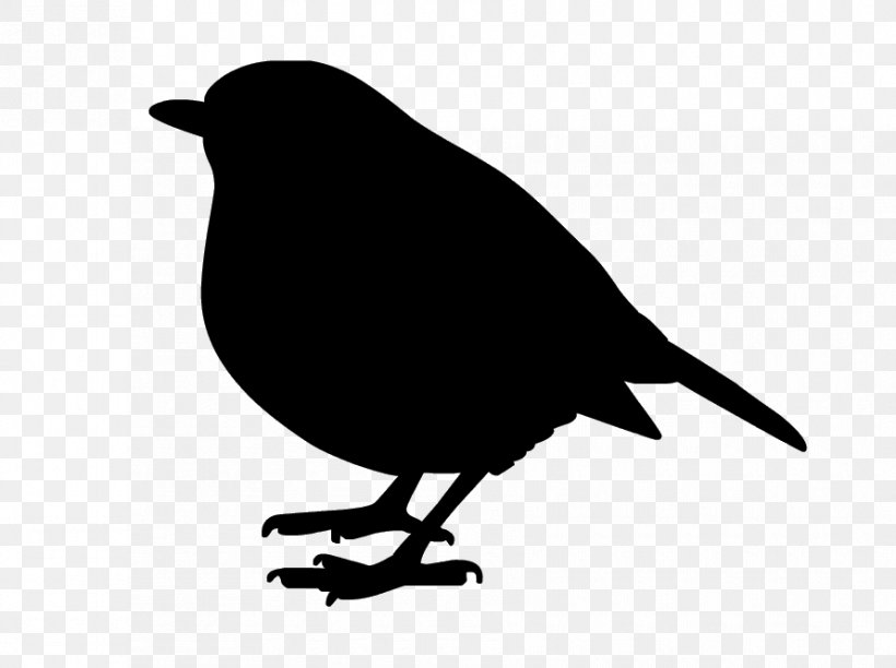 American Crow Black Silhouette Common Raven White, PNG, 890x665px, American Crow, Beak, Bird, Black, Black And White Download Free