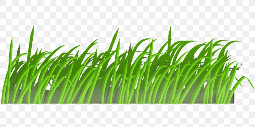 Green Grass Wheatgrass Plant Grass Family, PNG, 1024x512px, Green, Chives, Fodder, Grass, Grass Family Download Free