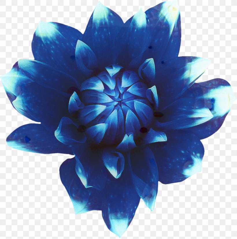 Watercolor Flower Background, PNG, 1083x1094px, Nymphaea Nelumbo, Aqua, Aquatic Plant, Blue, Cobalt Blue Download Free