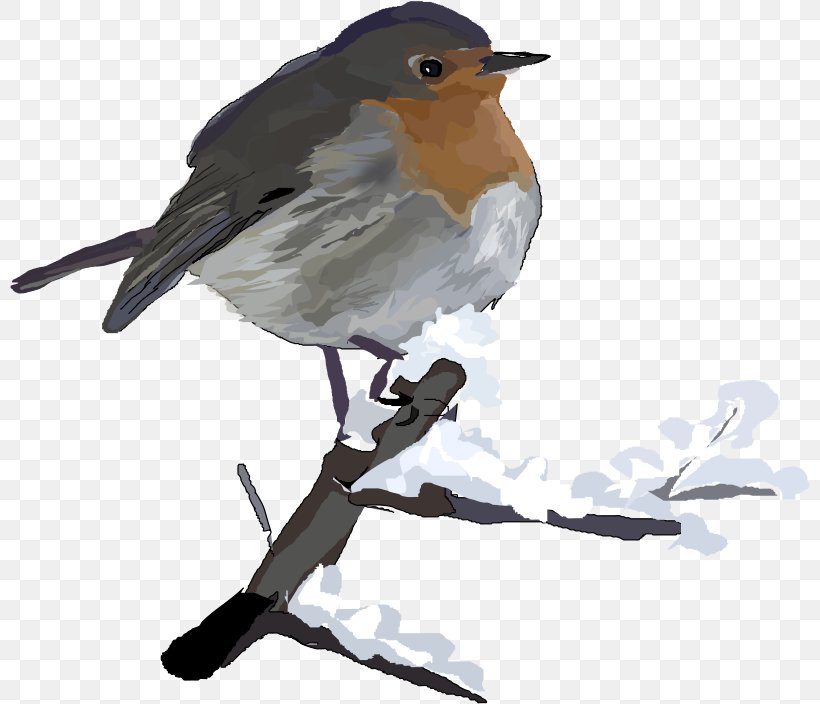American Robin Christmas Clip Art, PNG, 800x704px, Robin, American Robin, Batman Robin, Beak, Bird Download Free