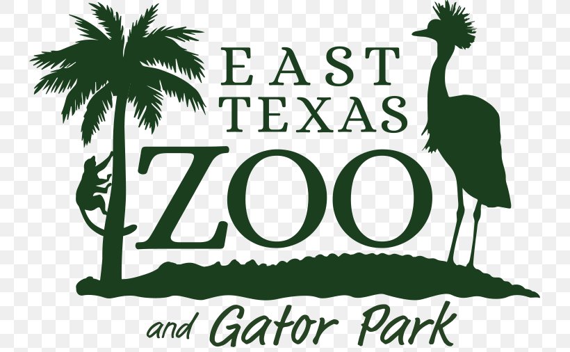 East Texas Zoo & Gator Park Logo ZooMontana, PNG, 735x506px, Logo, Beak, Bird, Brand, East Texas Download Free