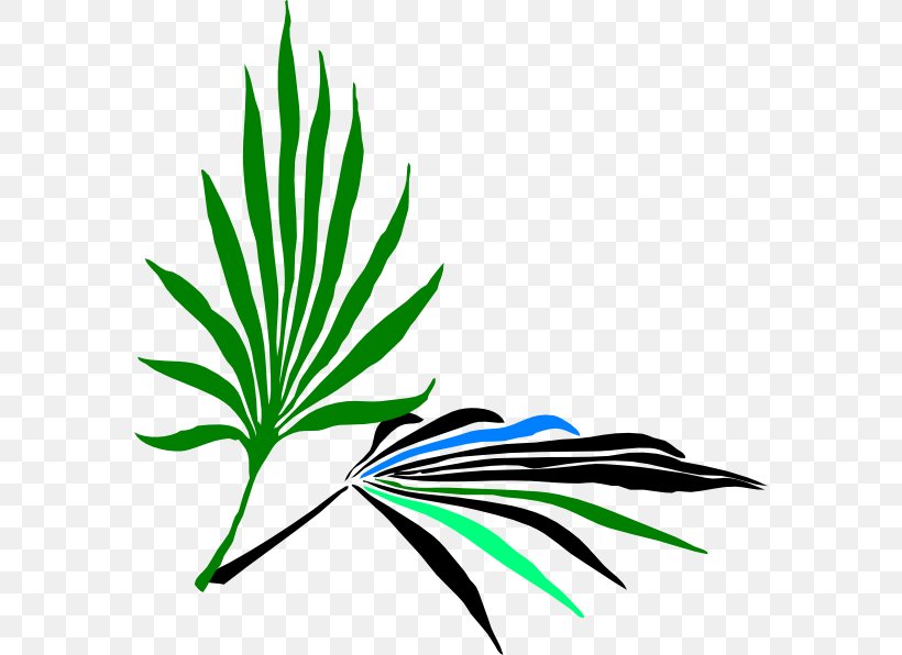 Holy Comforter Episcopal Church Palm Branch Clip Art, PNG, 576x596px, Palm Branch, Arecaceae, Artwork, Flora, Grass Download Free