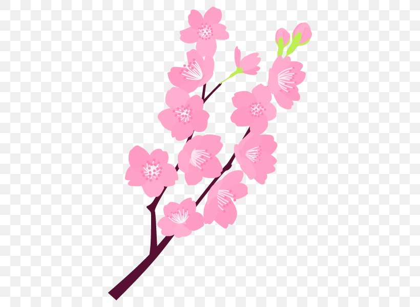 Kumamoto Psychic Cherry Blossom Floral Design Flower, PNG, 600x600px, Kumamoto, Blossom, Branch, Cherry Blossom, Counseling Download Free