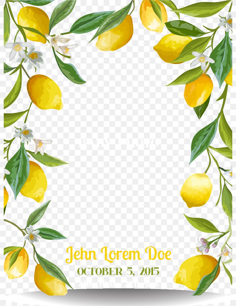 Lemon, PNG, 794x1061px, Lemon, Branch, Citric Acid, Citron, Citrus Download Free
