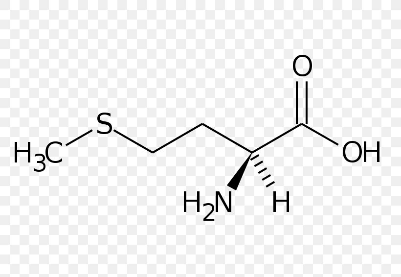 Phenylalanine Amino Acid Threonine Serine Cysteine, PNG, 800x566px, Phenylalanine, Acid, Amino Acid, Area, Aspartic Acid Download Free