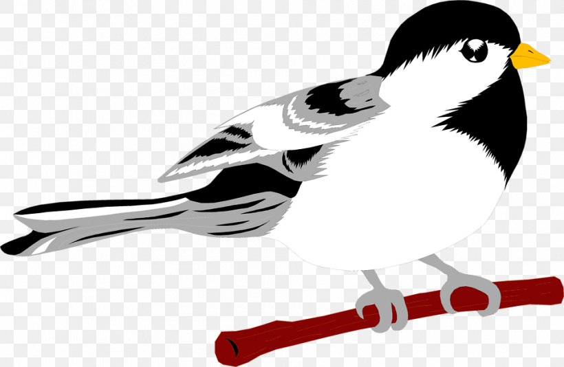 Bird Gulls Chinese Hwamei Clip Art, PNG, 958x625px, Bird, Animal, Beak, Bird Migration, Cartoon Download Free