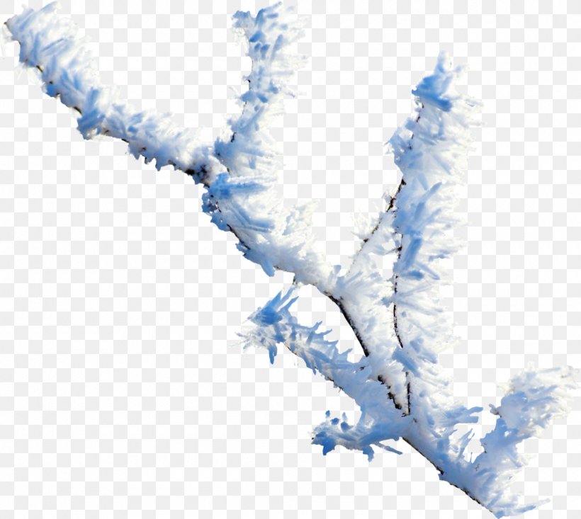 Branch Twig Snow Clip Art, PNG, 1280x1145px, Branch, Blue, Cloud, Freezing, Frost Download Free