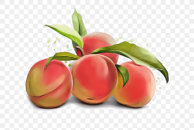 European Plum Peach Fruit Plant Nectarines, PNG, 649x549px, European Plum, Flower, Flowering Plant, Food, Fruit Download Free