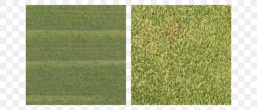 Lawn Green Grasses Angle Minute, PNG, 2627x1126px, Lawn, Family, Grass, Grass Family, Grasses Download Free