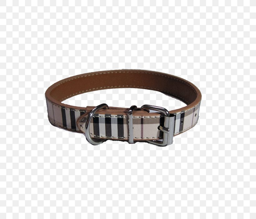 Dog Collar Belt Metal, PNG, 700x700px, Dog, Belt, Belt Buckle, Belt Buckles, Buckle Download Free