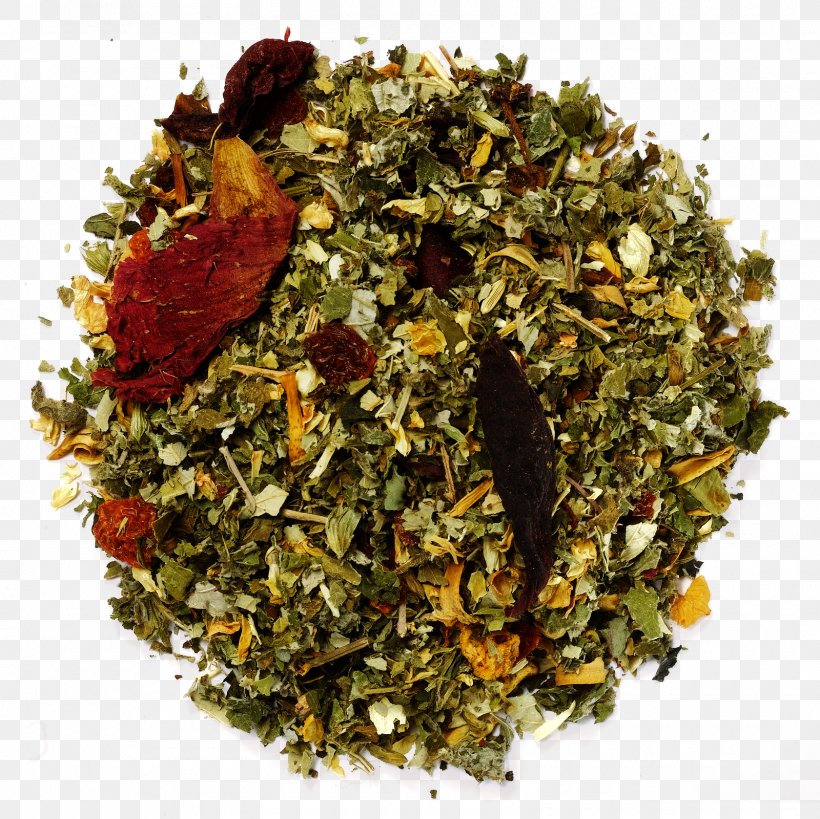 Nilgiri Tea Earl Grey Tea Mixture Superfood Tea Plant, PNG, 1600x1600px, Nilgiri Tea, Earl, Earl Grey Tea, Mixture, Oolong Download Free