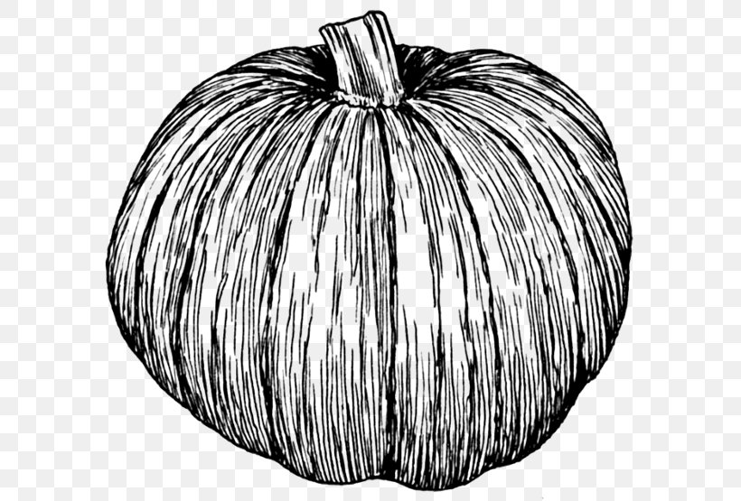 Pumpkin Pie Zucchini Drawing Clip Art, PNG, 600x555px, Pumpkin, Black And White, Cucurbita, Cucurbita Maxima, Drawing Download Free