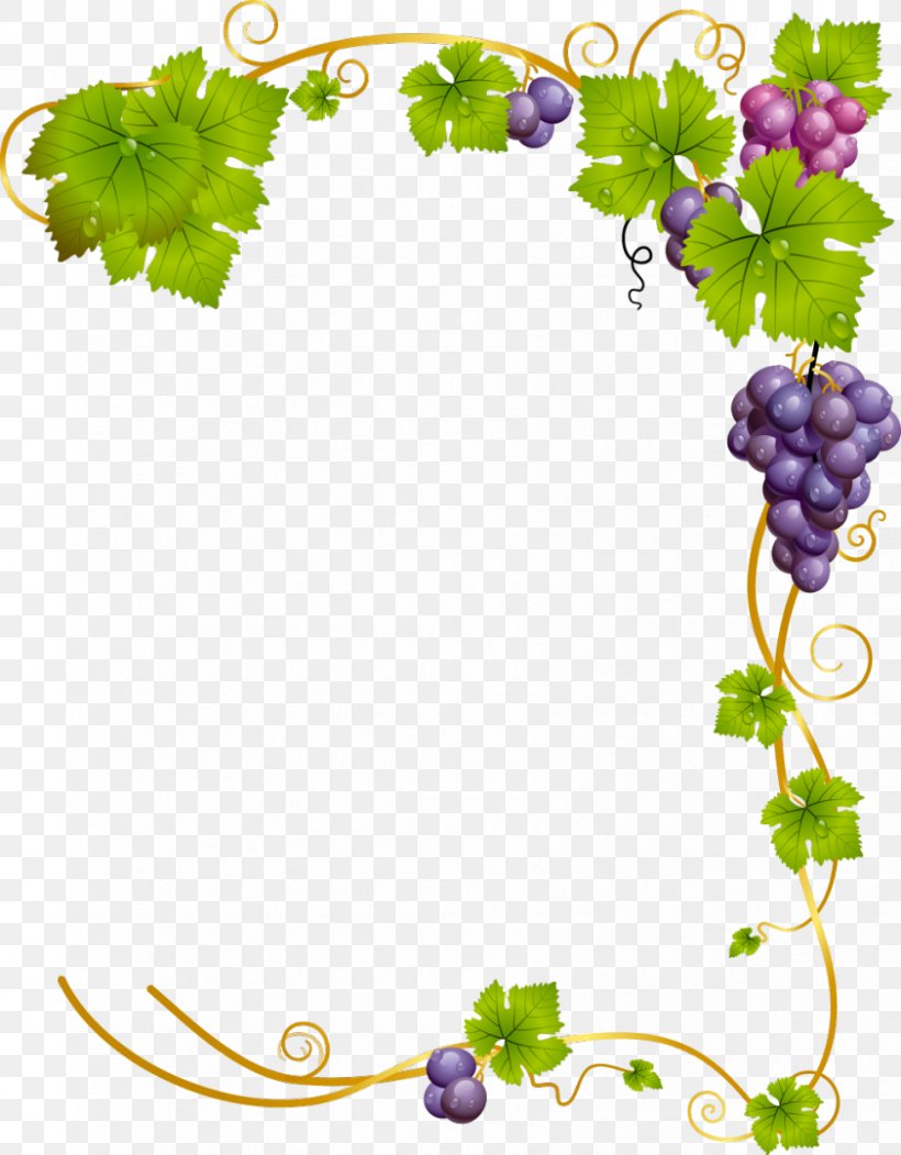 Common Grape Vine Wine, PNG, 842x1080px, Common Grape Vine, Branch, Flora, Floral Design, Flower Download Free
